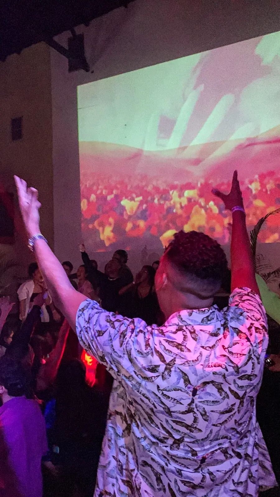 Pop Night Vol. I — Foto 1